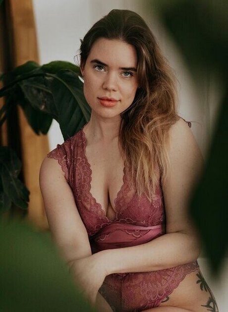 hollaura étoile de l'art image