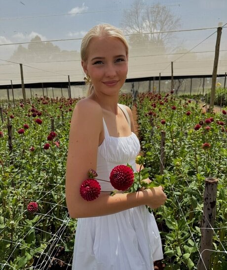 Juliet Small étoile exclusive galerie