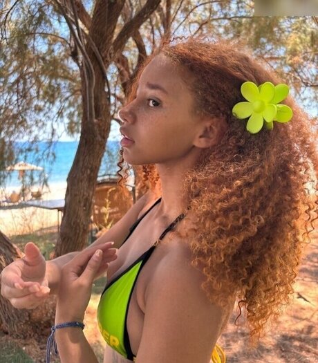 Chevelly étoile hd collection