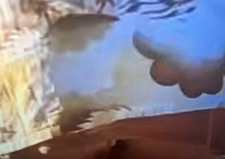 Sailing The Far Side étoile magnifique images