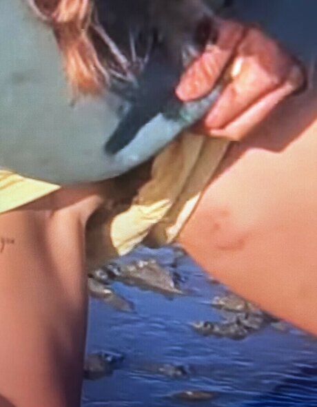 Sailing The Far Side étoile nue images