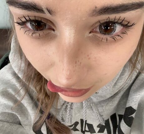 pavuk1 0 haut étoile galeries