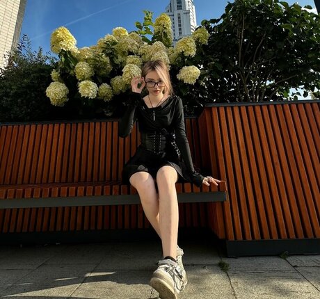 pavuk1 0 étoile nue img