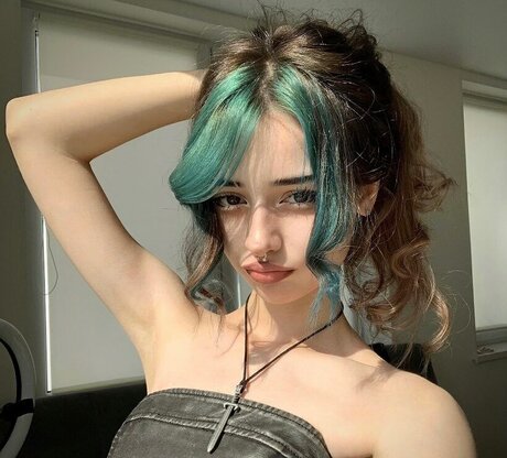 pavuk1 0 modèle hd images