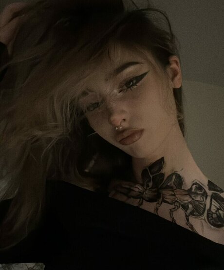 pavuk1 0 étoile de haute qualité galeries