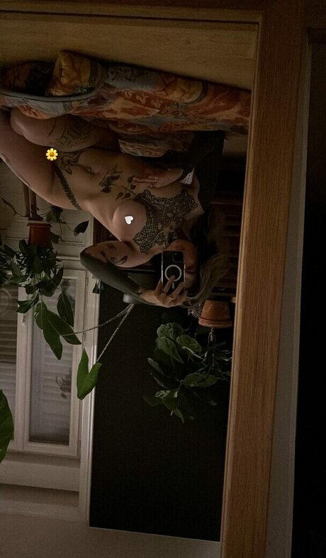 divinement bon étoile sympa images