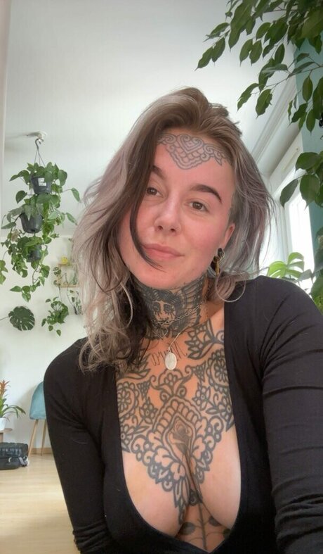 divinement bon étoile érotique archive