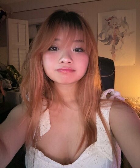 Seireals modèle parfait img