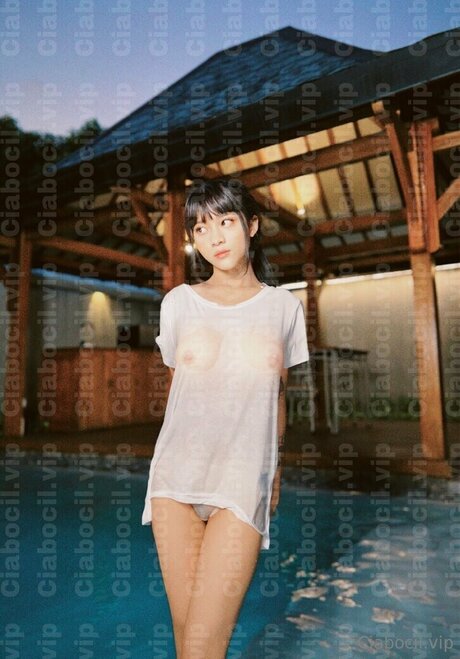 Ciabocil vip étoile xxx archive