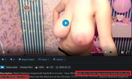 Kirsten Dilles art star du porno archive