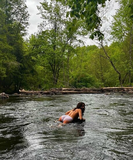 Hitchhikercourtney étoile image