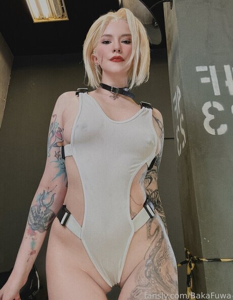 BakaFuwa nus de stars du porno img