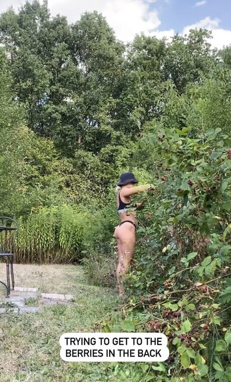 lifting toni joli modèle archive