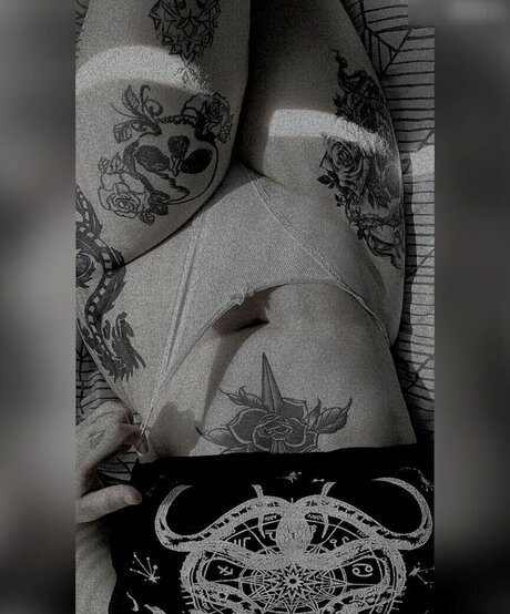 xlenaa official star du sexe collection