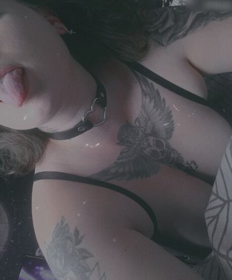 xlenaa official haut modèle collection