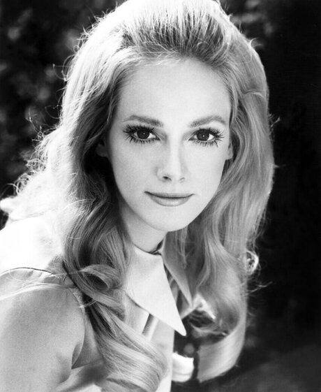 Sondra Locke meilleure étoile img
