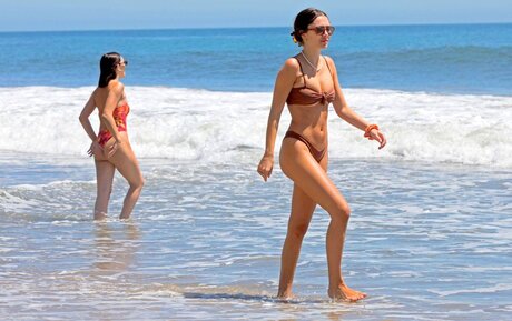 Delilah Hamlin haut étoile photos