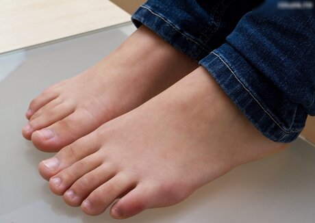 fans de cire uniquement assez haute qualité images