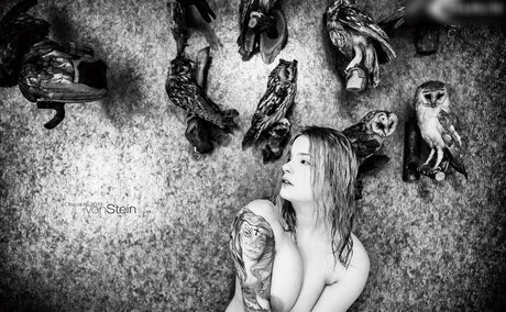 Chaos Isi étoile érotique image