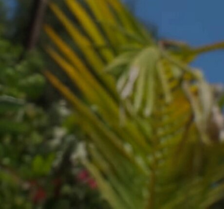 VelicityVon star du sexe des photos