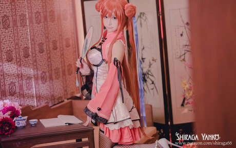 Shiraga Yanko actrice érotique image