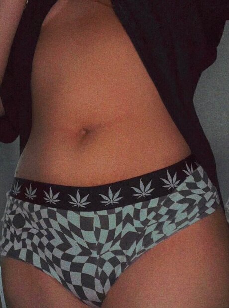 TaigaVS étoile de haute qualité img