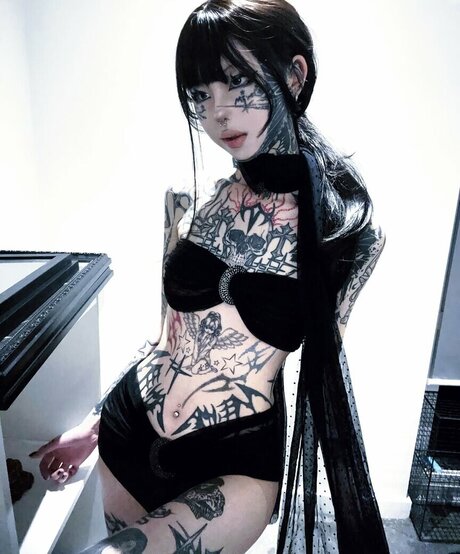 Zzem Zzem étoile de haute qualité archive