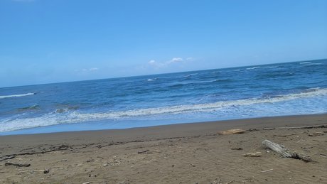 La pelua pr étoile gratuite galeries