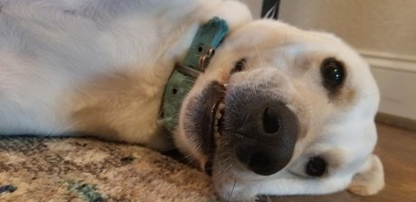 journaliste onlyfans meilleur porno image