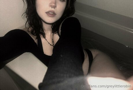 mylittlerobin Profilfoto