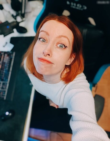 einfachsonina modèle img