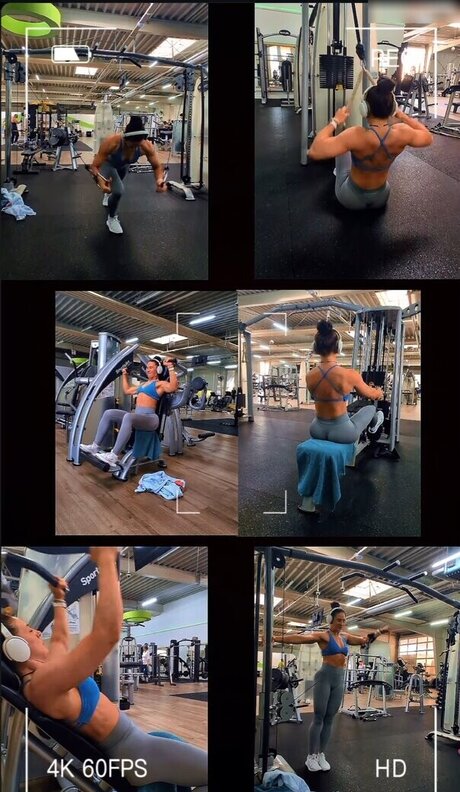 JuleTheFox art étoile archive