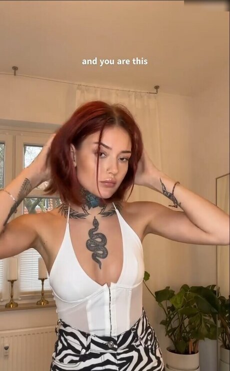 fans de poitrine plate uniquement hd parfaite collection