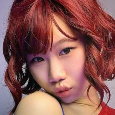 rachel rosee xxx étoile collection