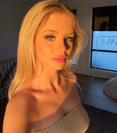 Berticuss étoile de haute qualité image