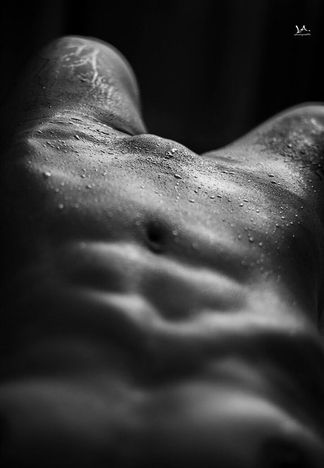 fitforfunalessia actrice pornographique galeries