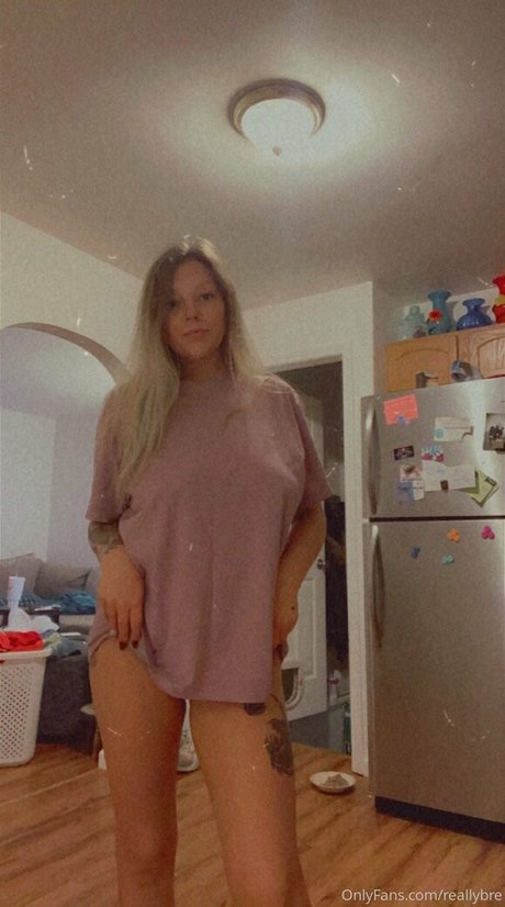 reallybre étoile parfaite galeries