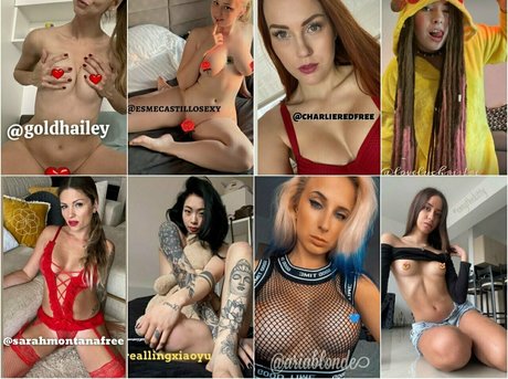 hollyclue étoile nue archive