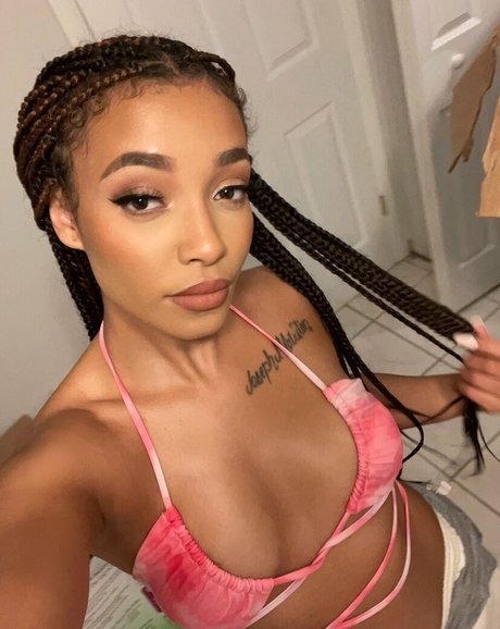 novastar18 étoile xxx collection