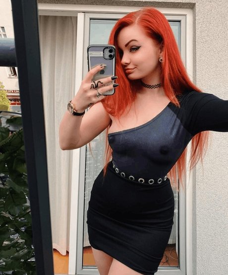 Proxyfox modèle gratuit collection