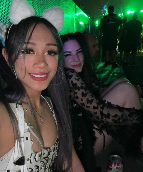 Kyootbot étoile de l'art photos