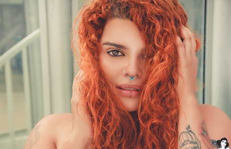 Kawrawr haut modèle galeries