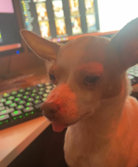 Suki Jade meilleure actrice photos