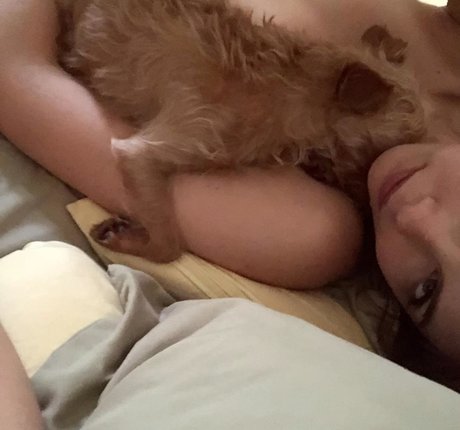 Willa Holland star exclusive archive