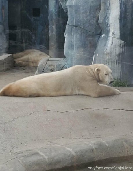 sonjahaze star du porno nue img