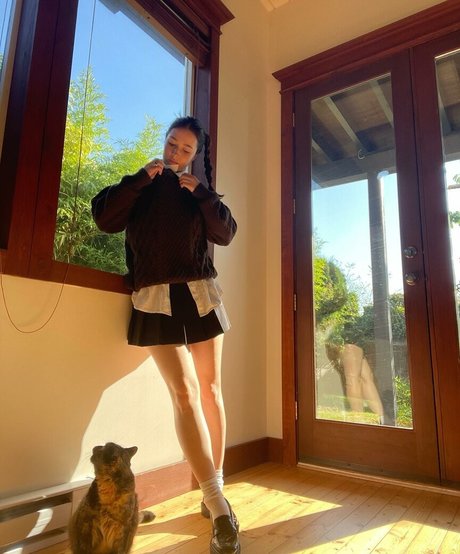 Holls8 étoile de haute qualité photo