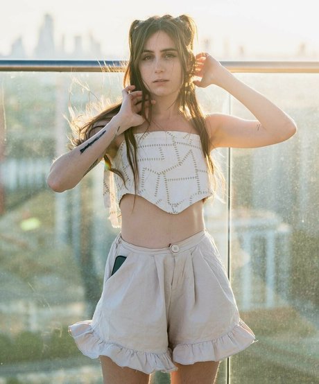 Doddleoddle modèle img