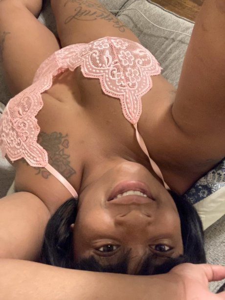 MS Legend modèle meilleur archive