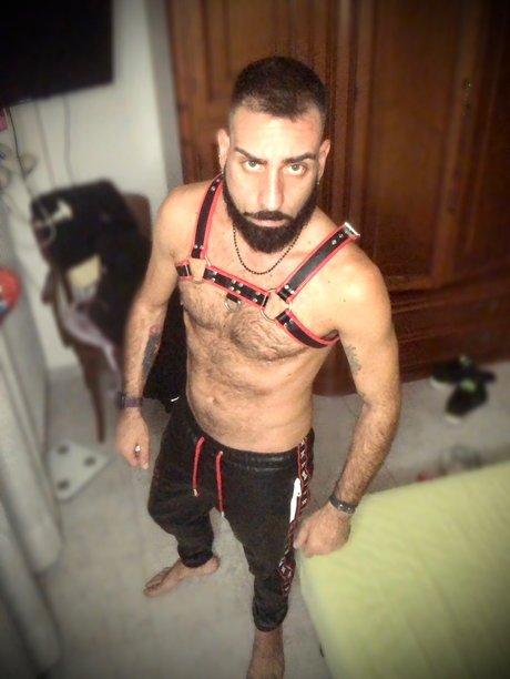 Lotus Gold étoile parfaite images