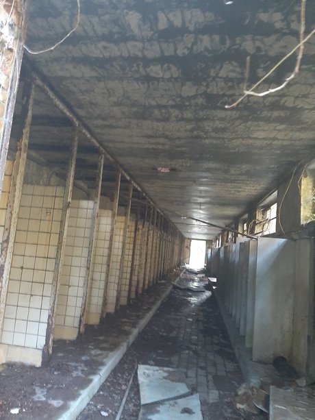 LordShwanzy étoile adulte des photos